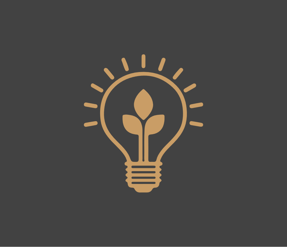 Innovative Design & Sustainability